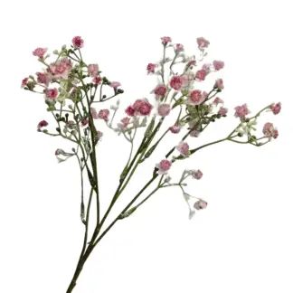 50cm Pink Gypsum Branch