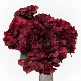 5 Head Small Petal Burgundy Hydrangea Bunch