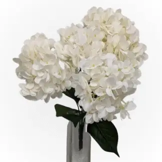 5 Head Small Petal Ivory Hydrangea Bunch