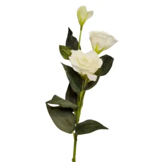 White Single Stem Lisianthus