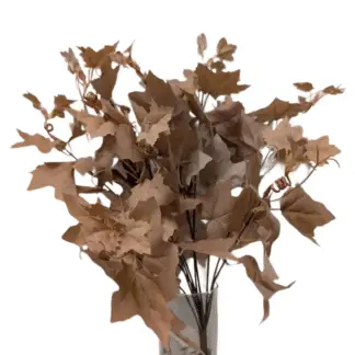 Coffee Maple Leaf Bunch