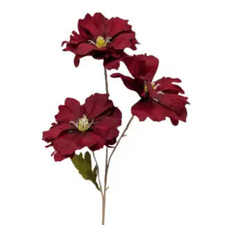 3 Head Burgundy Moon Flower