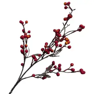Dark Orange Berry Branch