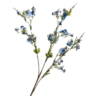 Blue Plum Blossom Branch
