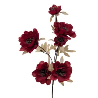 6 Head Burgundy Poppy