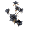 poppy dark blue