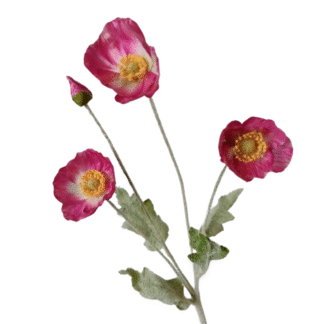 3 Head Bright Pink Poppy