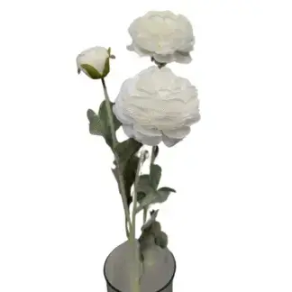 3 Head Large White Ranunculus