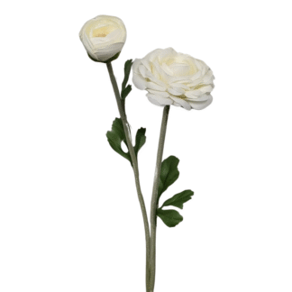 2 Head Large White Ranunculus