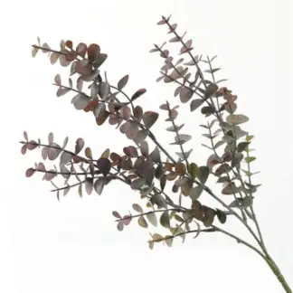 Red Baby Eucalyptus Branch