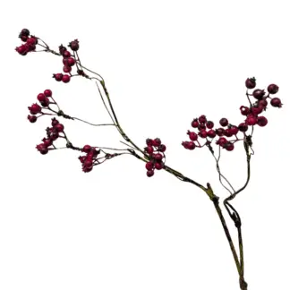 Red Berry Branch