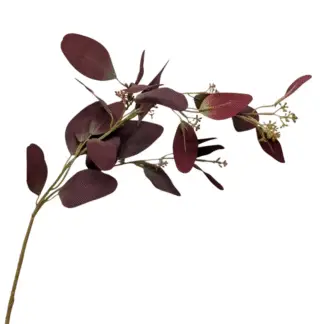 Red Seeded Eucalyptus Branch