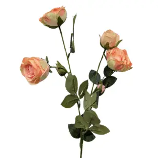 4 Head Peach Spray Rose