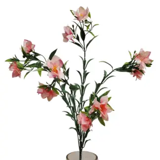 Light Pink Star Flower