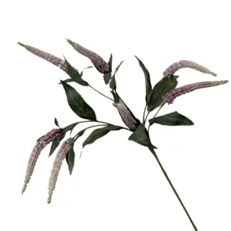 81cm Deep Pink Veronica