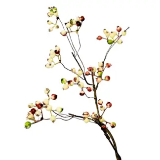 White Winter Berry Branch