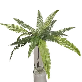 Dark Green Fern Stem