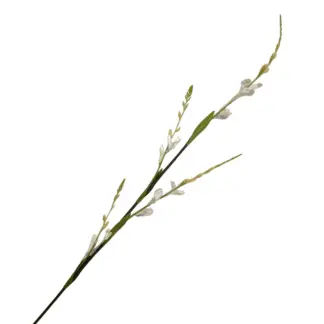 White Real Feel Fire Orchid