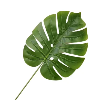 Large Green Monstera Leaf