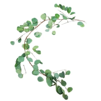 2m Green Silver Dollar Eucalyptus Garland