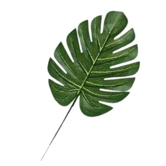Small Green Monstera Leaf