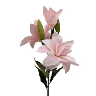 3 Head Light Pink HQS Asiatic Lily