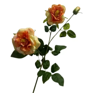 Deep Peach 3 Head Single Stem Camellia