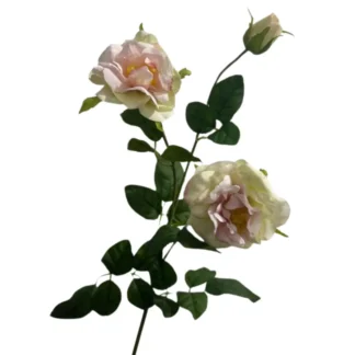 Light Pink 3 Head Single Stem Camellia