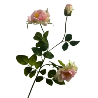 Pink 3 Head Single Stem Camellia