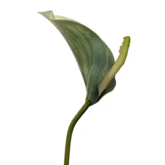 Green Real Feel Anthurium