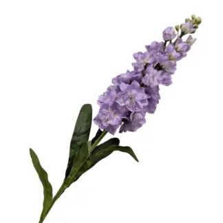 Purple HQS Single Stem Stock