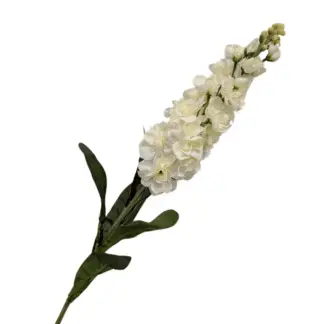 White HQS Single Stem Stock