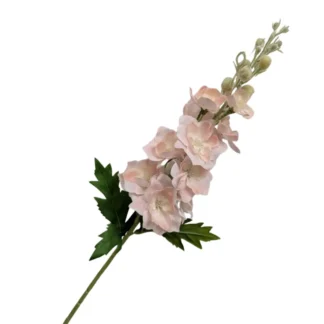 Champagne Real Feel Delphinium