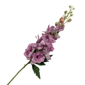 Dark Pink Real Feel Delphinium