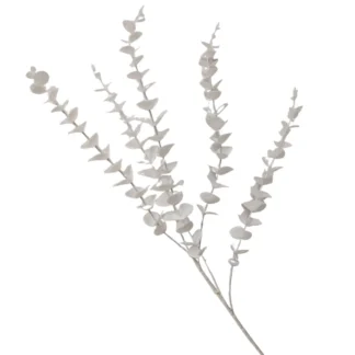 White Baby Eucalyptus Branch