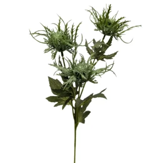 3 Head Green Thistle