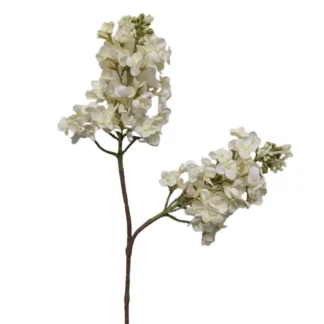 Ivory Real Feel Lilac