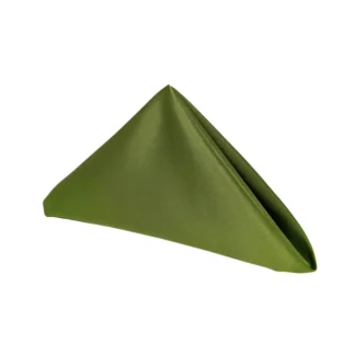 20" Sage Lamour Napkin 10/PK