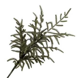 79cm Norfolk Pine Branch