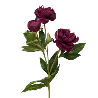 3 Head Burgundy Silk Peony