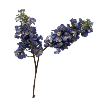 Purple Blue Real Feel Lilac