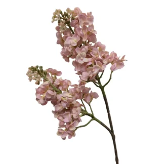 Pink Real Feel Lilac