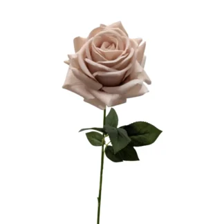 Nude Pink Real Feel Single Stem Turkish Rose