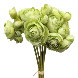 26cm 9pc Single Stem Green Ranunculus Bunch