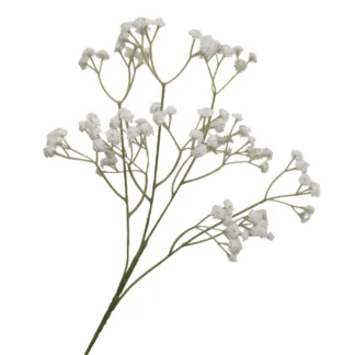 White Babies Breath Branch