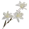 asiatic lily white