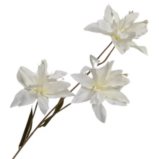 3 Head White Asiatic Lily