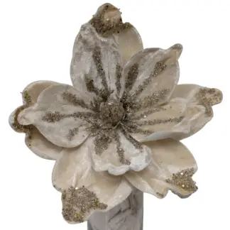 Champagne Velvet Magnolia