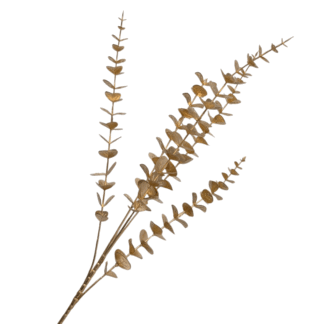 Gold Baby Eucalyptus Branch