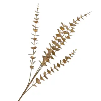 Gold Baby Eucalyptus Branch